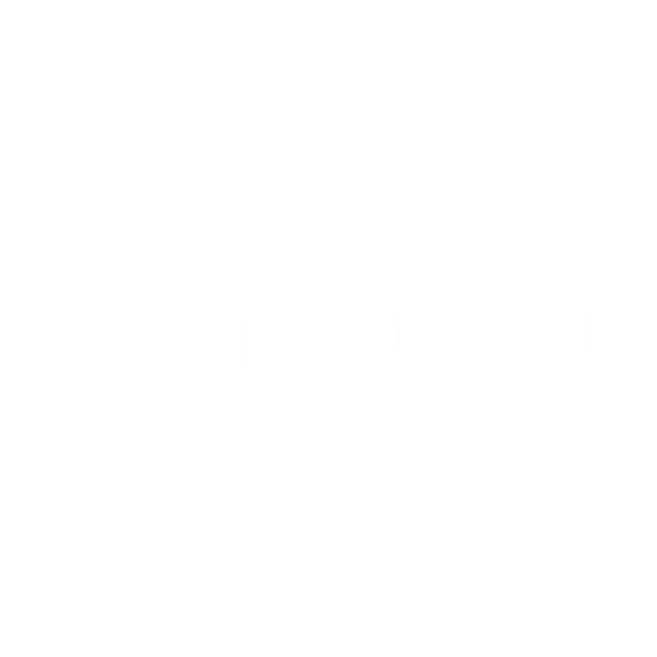 LightFusionX